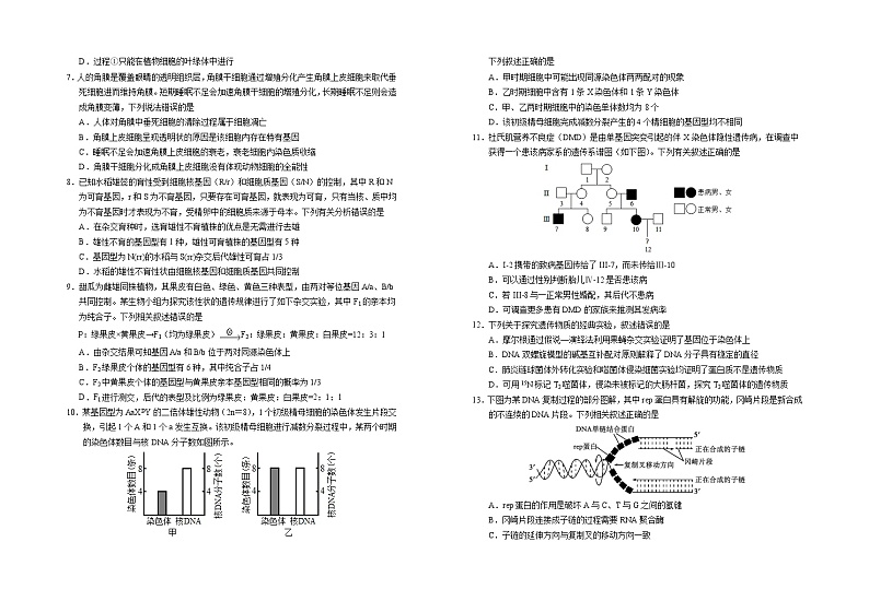 2025回族自治区银川一中高三上学期第四次月考试题生物含答案第2页