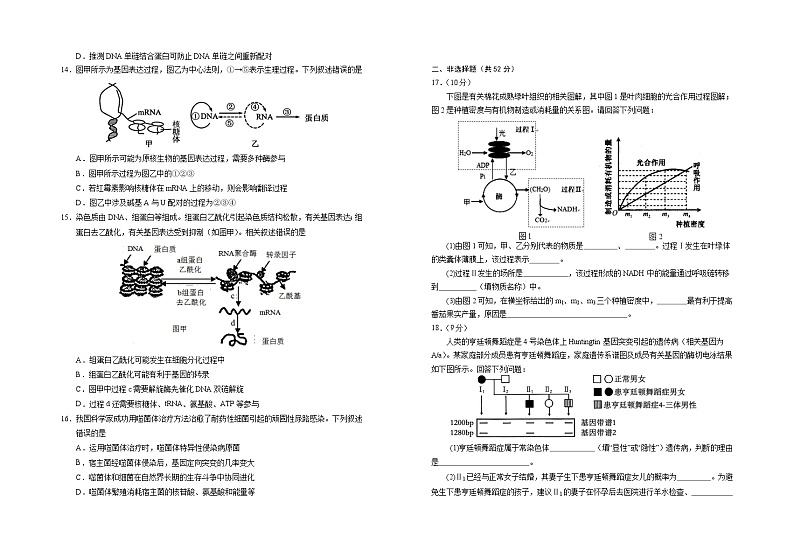 2025回族自治区银川一中高三上学期第四次月考试题生物含答案第3页
