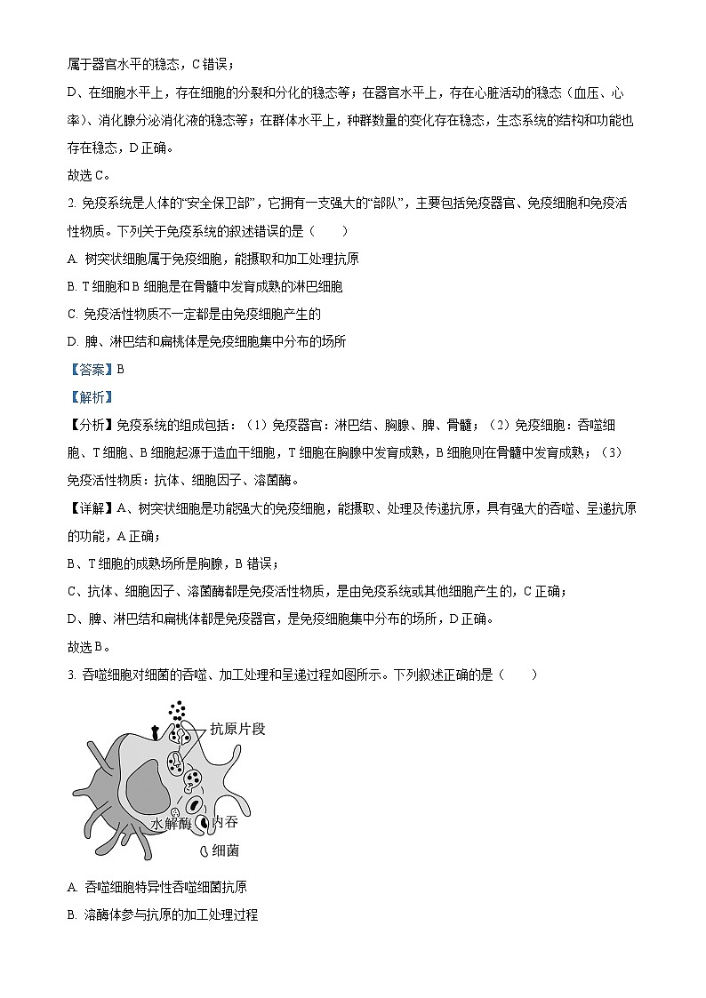 湖北省咸宁市崇阳县第二高级中学2024-2025学年高二上学期11月期中生物试题（解析版）-A4第2页