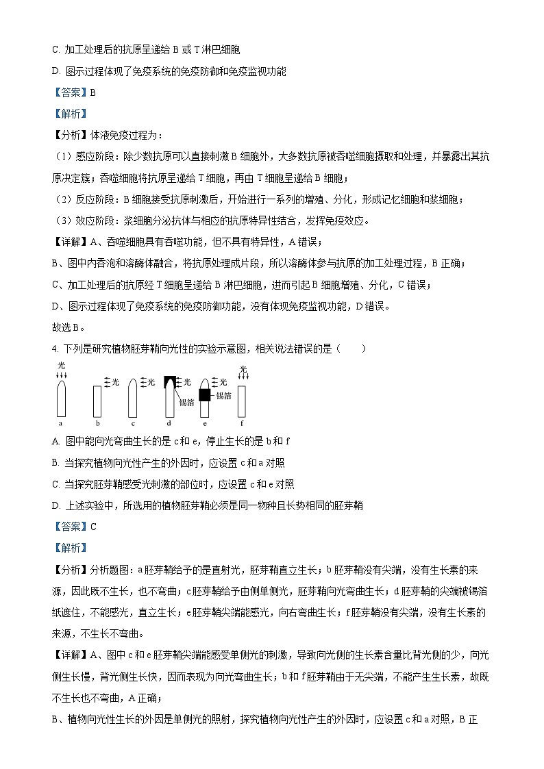 湖北省咸宁市崇阳县第二高级中学2024-2025学年高二上学期11月期中生物试题（解析版）-A4第3页