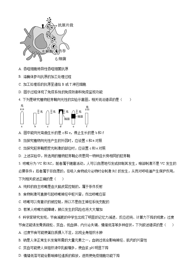 湖北省咸宁市崇阳县第二高级中学2024-2025学年高二上学期11月期中生物试题（原卷版）-A4第2页