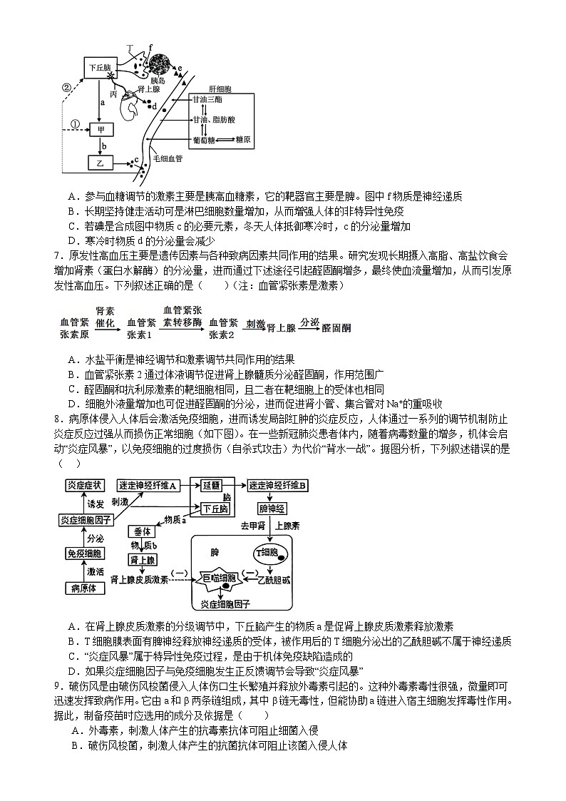 四川省眉山市彭山区第一中学2024-2025学年高二上学期12月月考生物试题-A4第2页