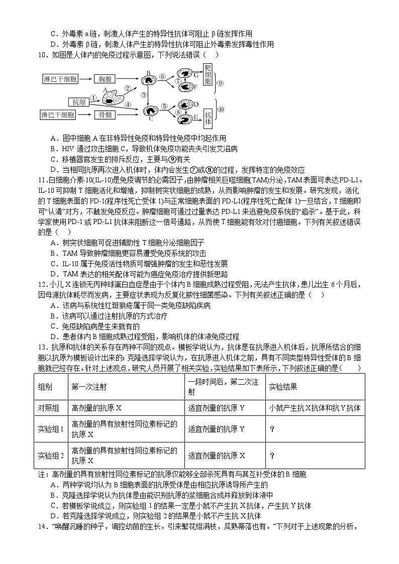 四川省眉山市彭山区第一中学2024-2025学年高二上学期12月月考生物试题-A4第3页