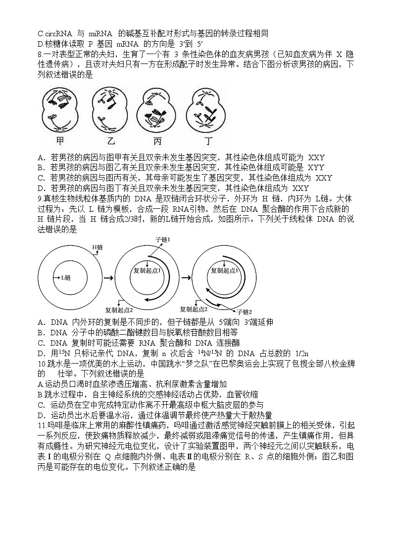 济宁市实验中学2024-2025学年高三上学期12月月考生物试题-A4第3页