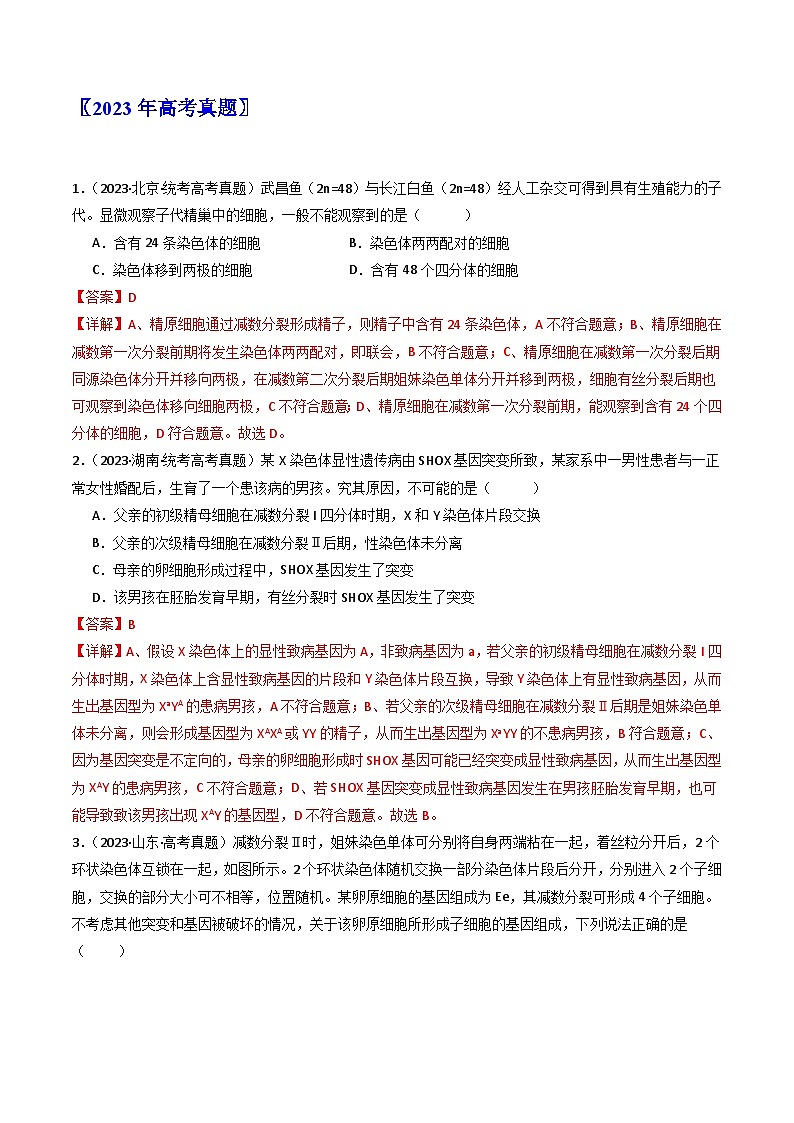 专题08 有丝分裂和减数分裂（解析卷）第2页