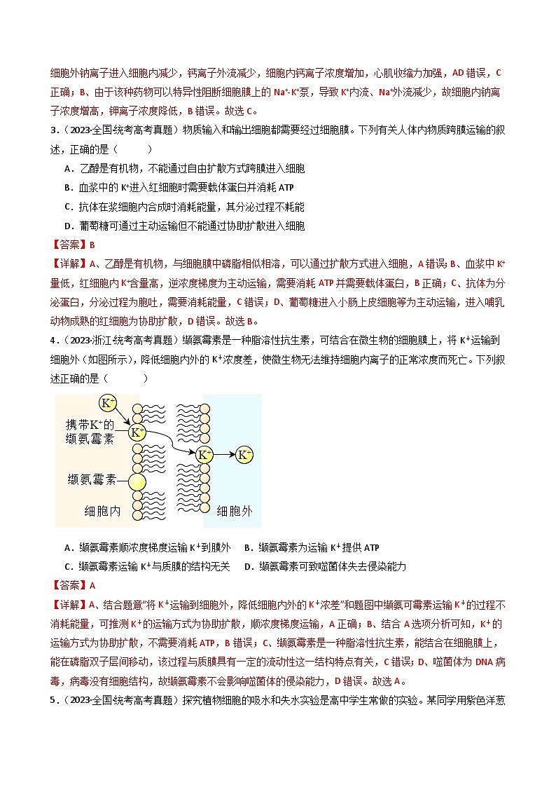 专题03 物质运输（解析卷）第3页