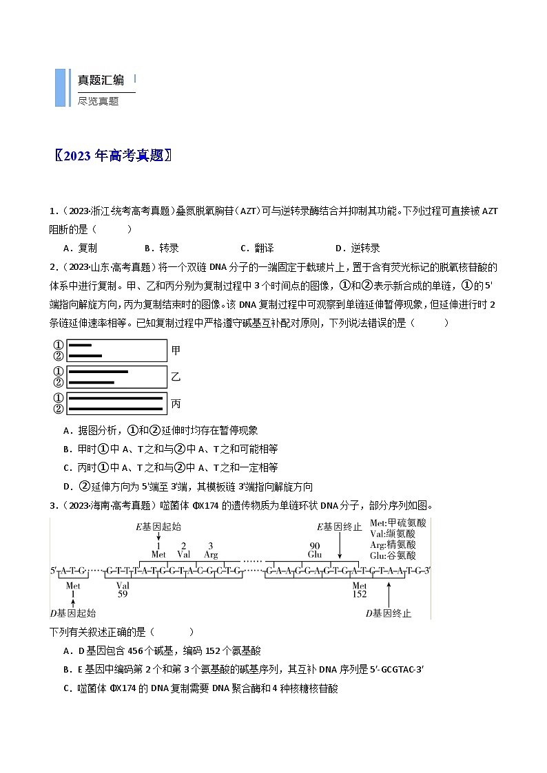 专题10 遗传的分子基础（原卷卷）第2页