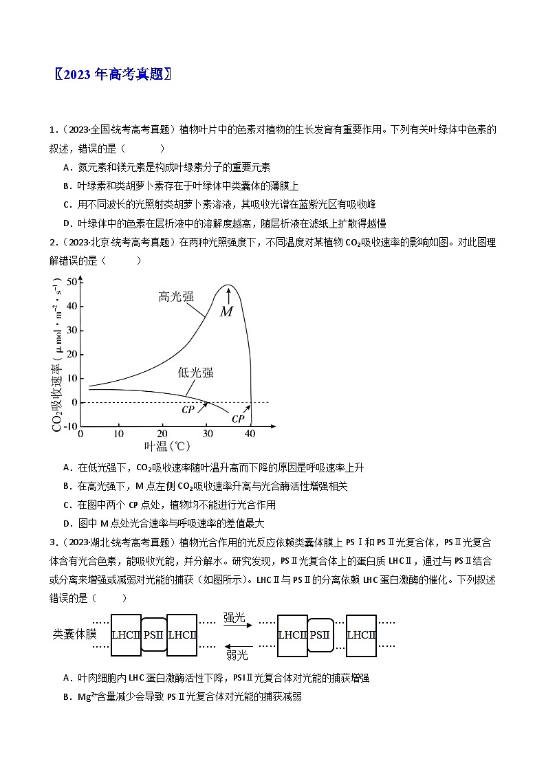 专题06 光合作用（原卷卷）第2页