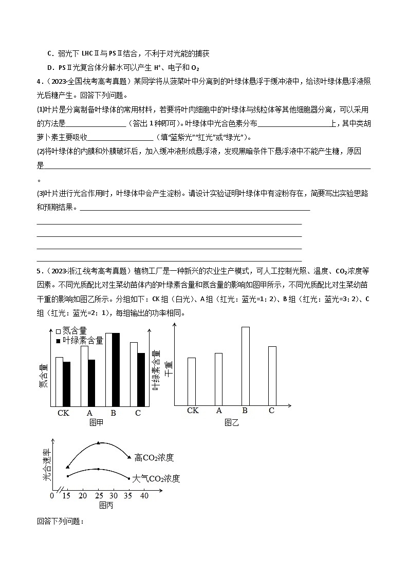 专题06 光合作用（原卷卷）第3页