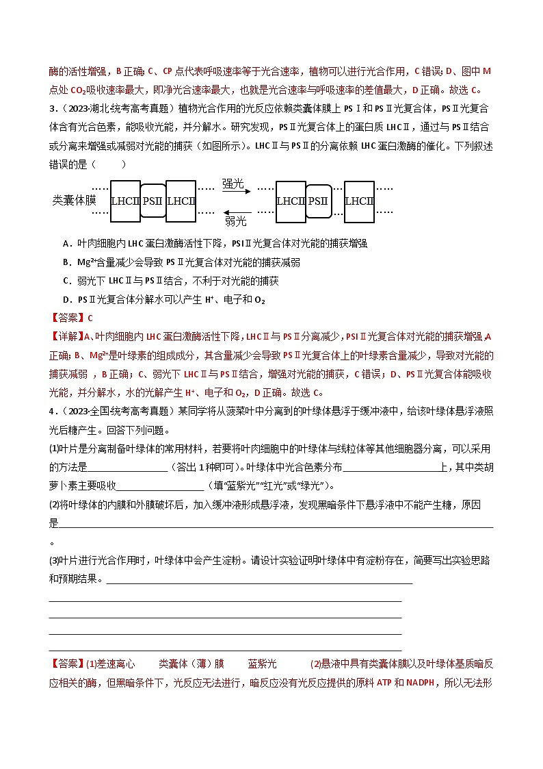 专题06 光合作用（解析卷）第3页
