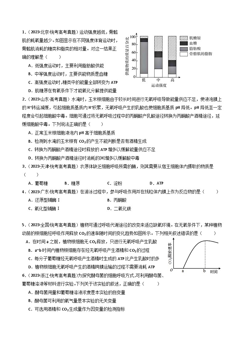 专题05 细胞呼吸（原卷卷）第2页