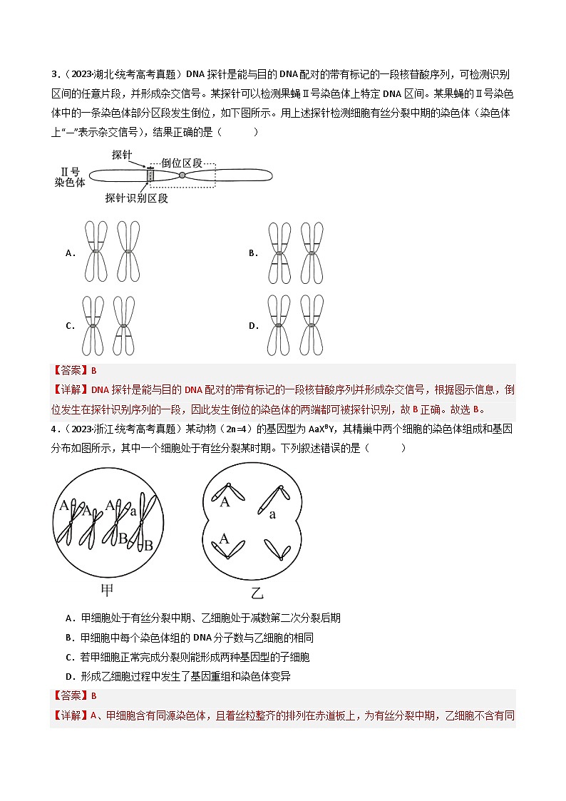 专题14 变异、育种与进化（解析卷）第3页