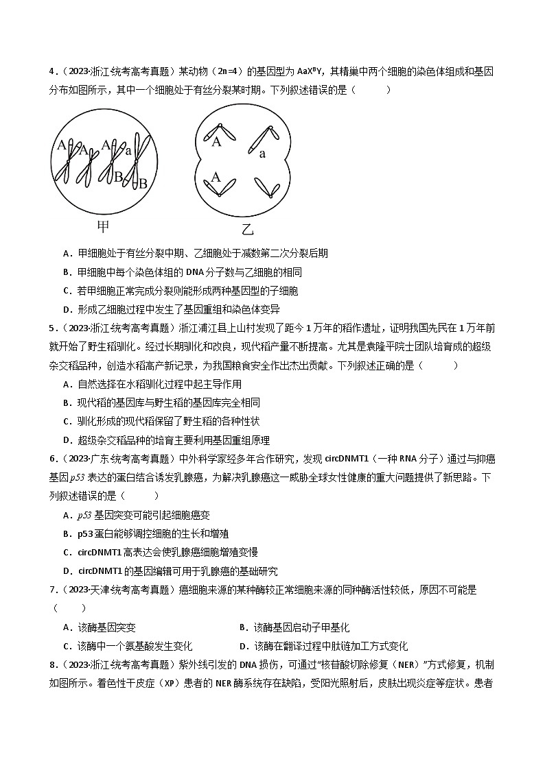 专题14 变异、育种与进化（原卷卷）第3页
