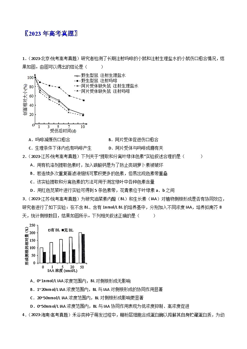 专题26 实验与探究（原卷卷）第2页