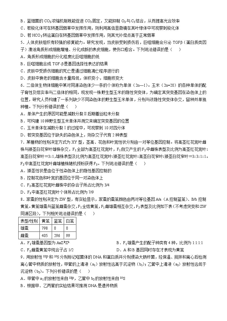 山东省威海市文登区2024-2025学年高三上学期第一次模拟考试试题生物+答案第2页