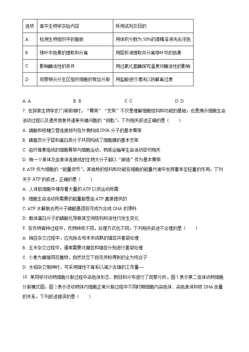 山西省晋中市2024-2025学年高三上学期学情调研测试生物试题  Word版无答案第3页