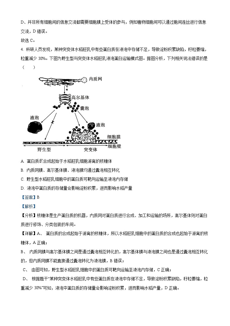 山西省晋中市2024-2025学年高三上学期学情调研测试生物试题  Word版含解析第3页