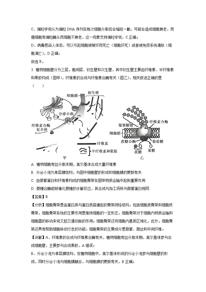 2024~2025学年江苏省启东市启东中学高三(上)期中生物试卷(解析版)第2页