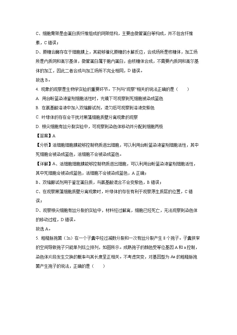 2024~2025学年江苏省启东市启东中学高三(上)期中生物试卷(解析版)第3页