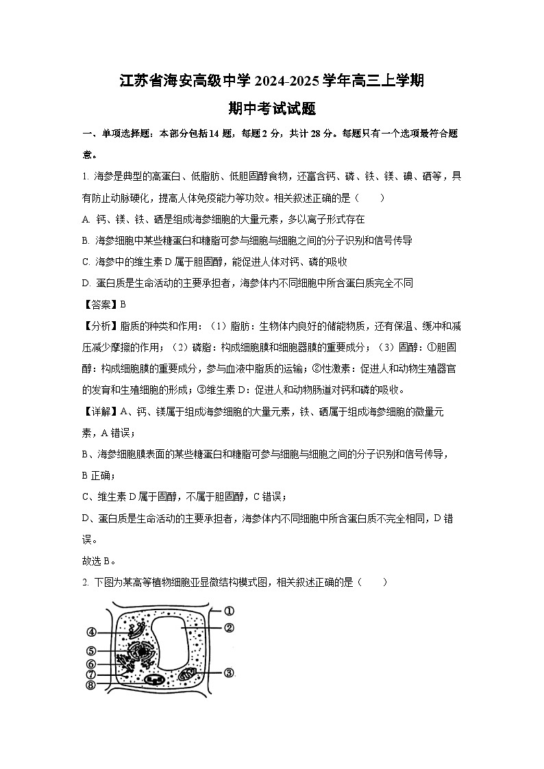 2024-2025学年江苏省海安高级中学高三(上)期中生物试卷(解析版)第1页