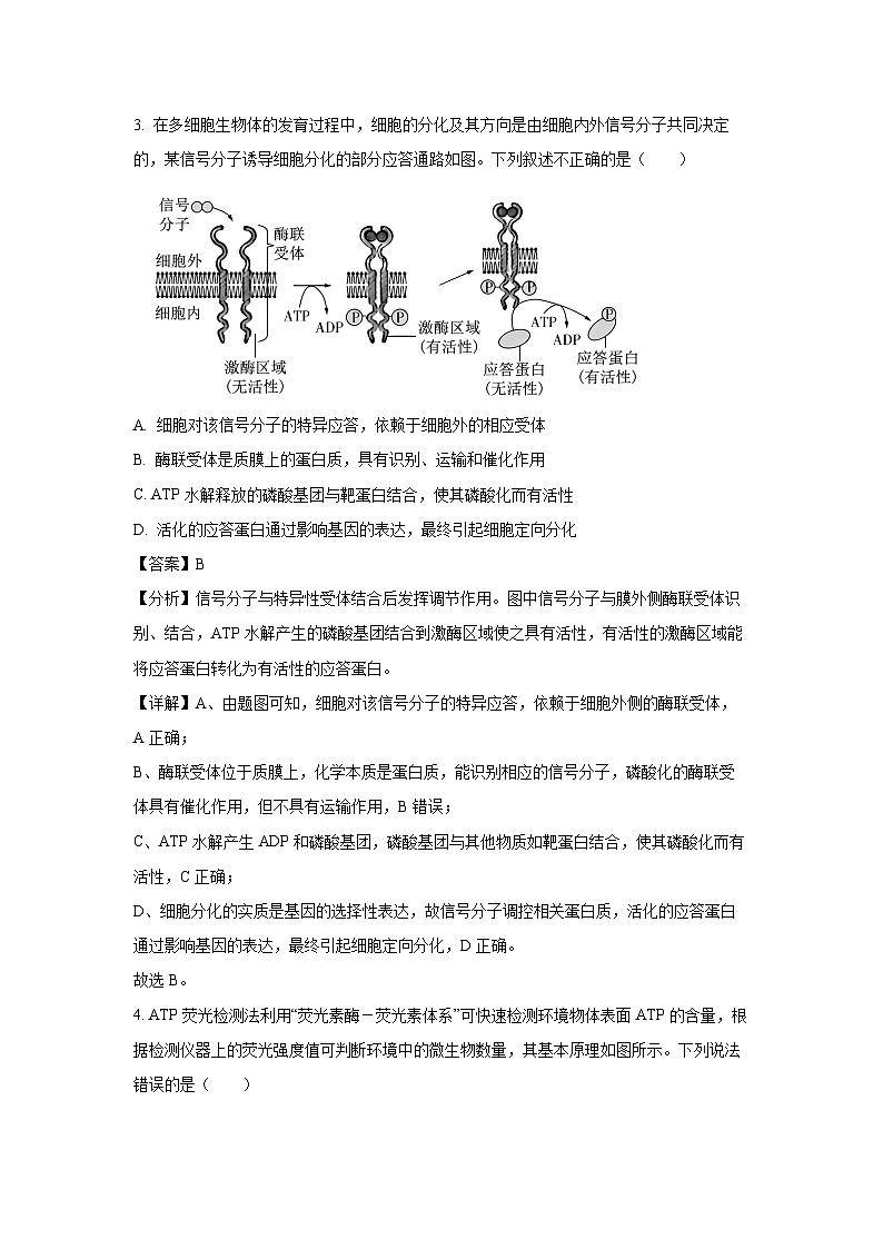 2024-2025学年江苏省南京市协同体七校高三(上)期中联合生物试卷(解析版)第2页