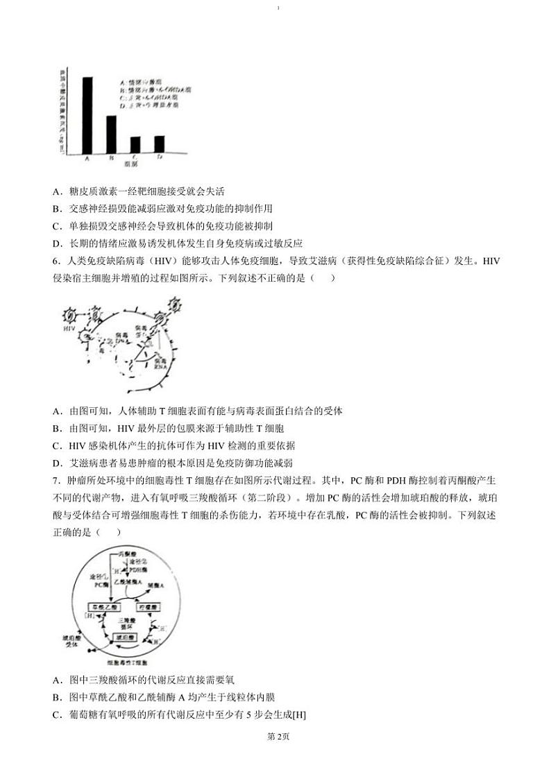 2024～2025学年湖南省湖湘教育协作体高二(上)期中大联考生物试卷(含答案)第2页