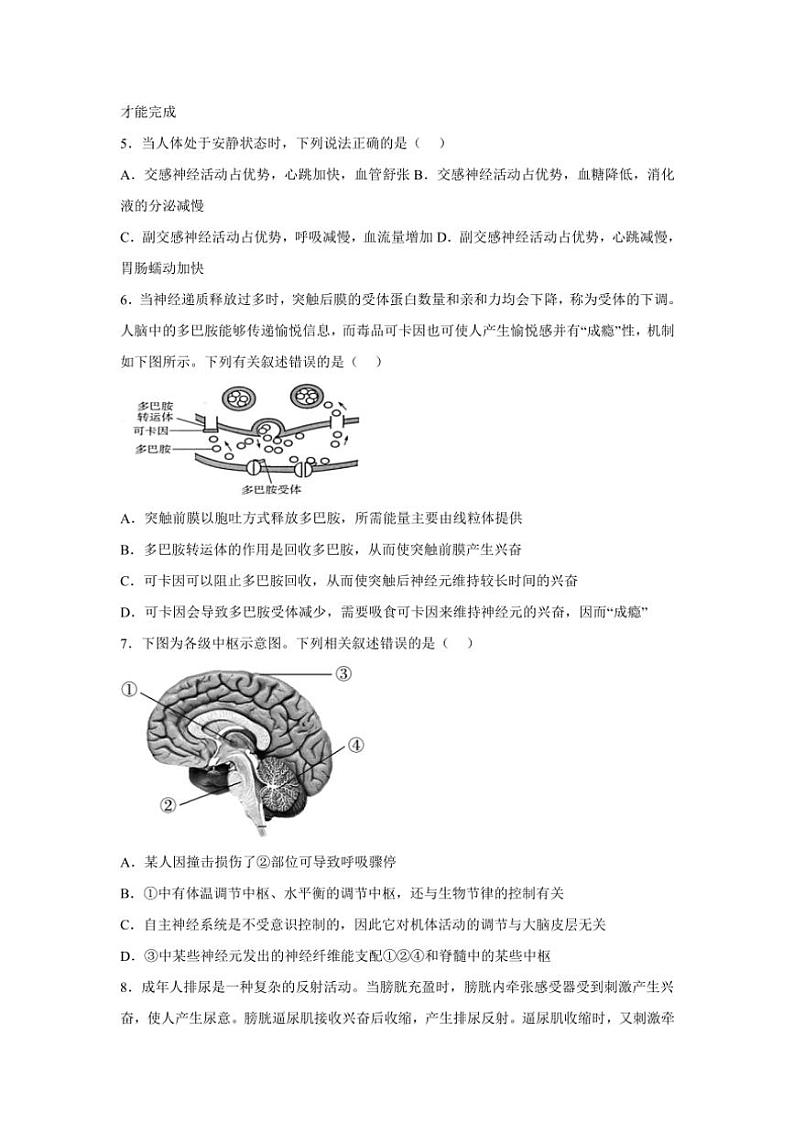 2024～2025学年广西钦州市第一中学高二(上)11月考试生物试卷(含答案)第2页