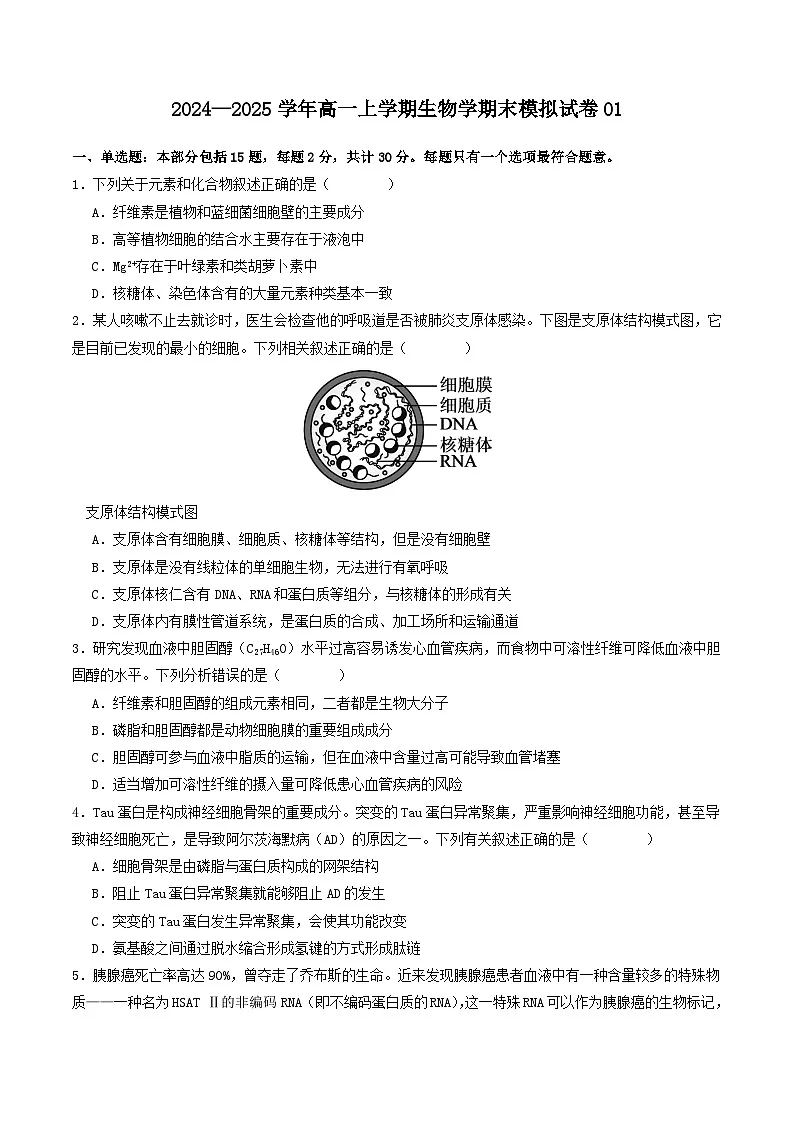 2024—2025学年高一生物人教版上学期期末模拟试卷01（含答案解析）第1页