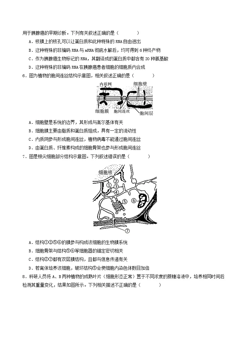 2024—2025学年高一生物人教版上学期期末模拟试卷01（含答案解析）第2页