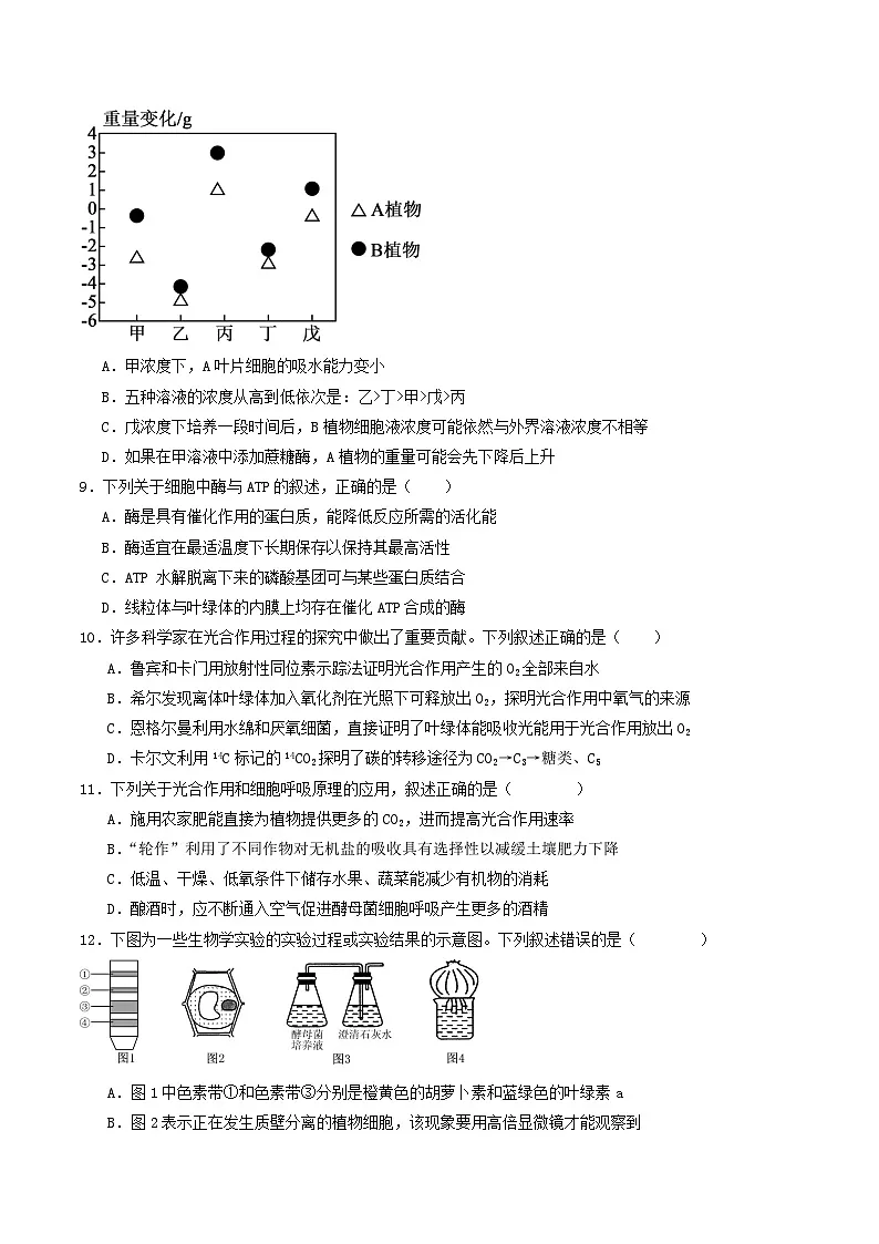 2024—2025学年高一生物人教版上学期期末模拟试卷01（含答案解析）第3页