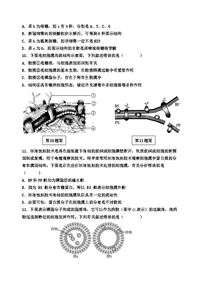 河北省邯郸市第一中学2024-2025学年高一上学期12月月考生物试卷 第3页