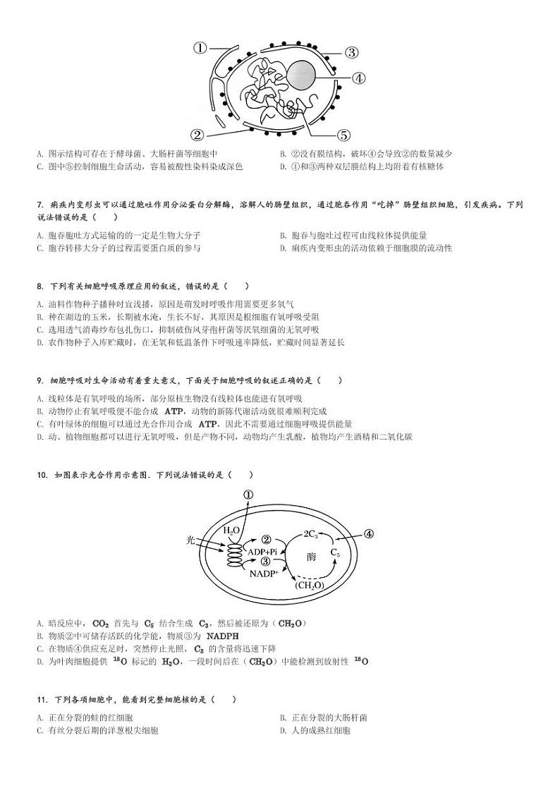 湖南省株洲市十三中2023-2024学年高一(上)期末生物试卷(含解析)第2页