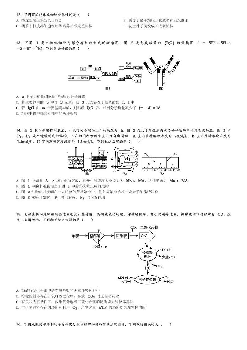 湖南省株洲市十三中2023-2024学年高一(上)期末生物试卷(含解析)第3页
