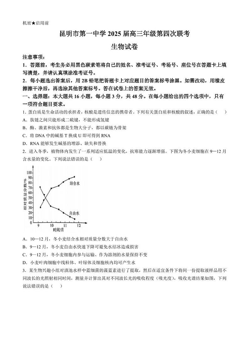 云南省昆明市第一中学2025届高三上学期高考第四次联考-生物试题+答案第1页