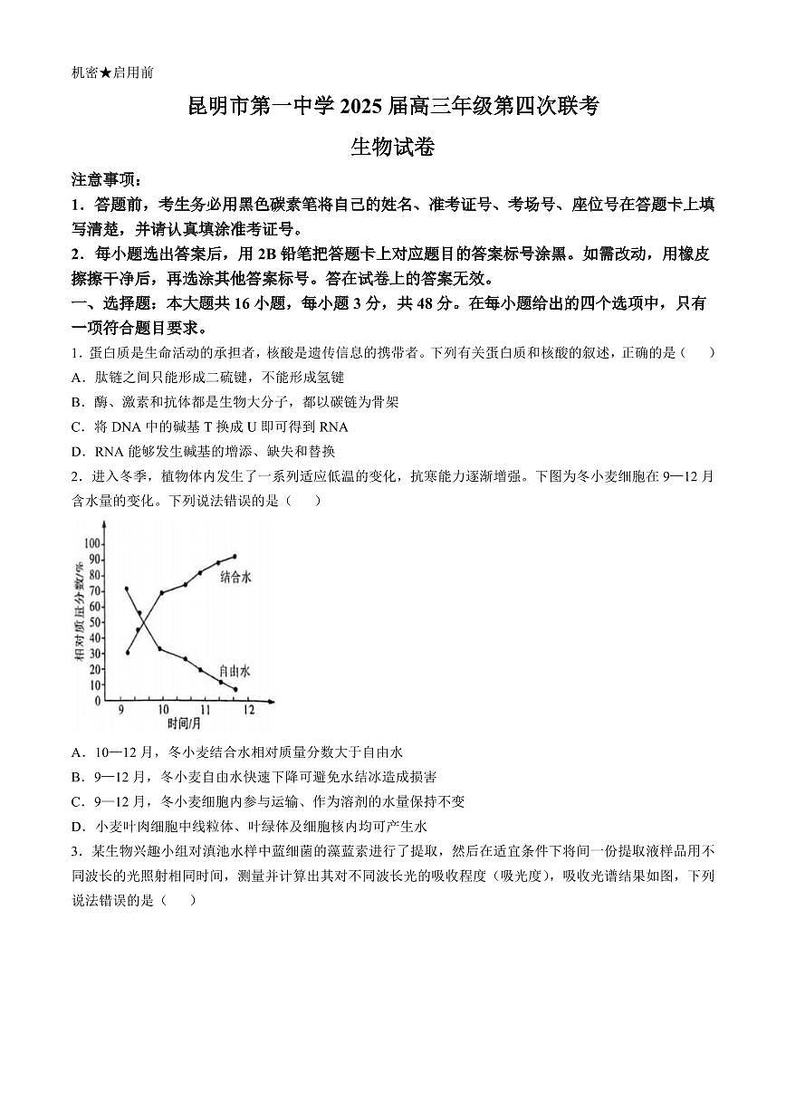 云南省昆明市第一中学2025届高三上学期高考第四次联考-生物试题+答案第1页