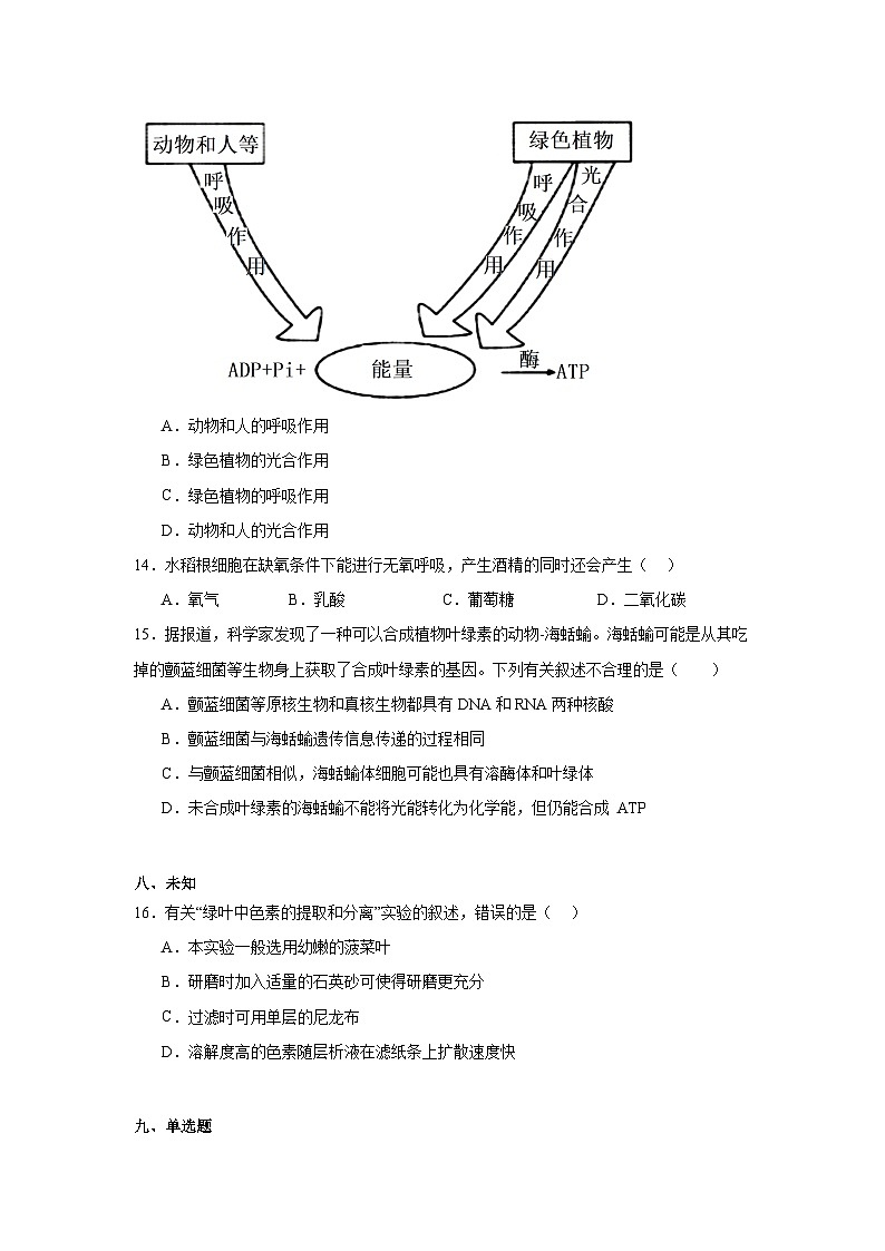 江苏省四市十一校联盟2024~2025学年高二上学期学业水平测试模拟生物试卷第3页