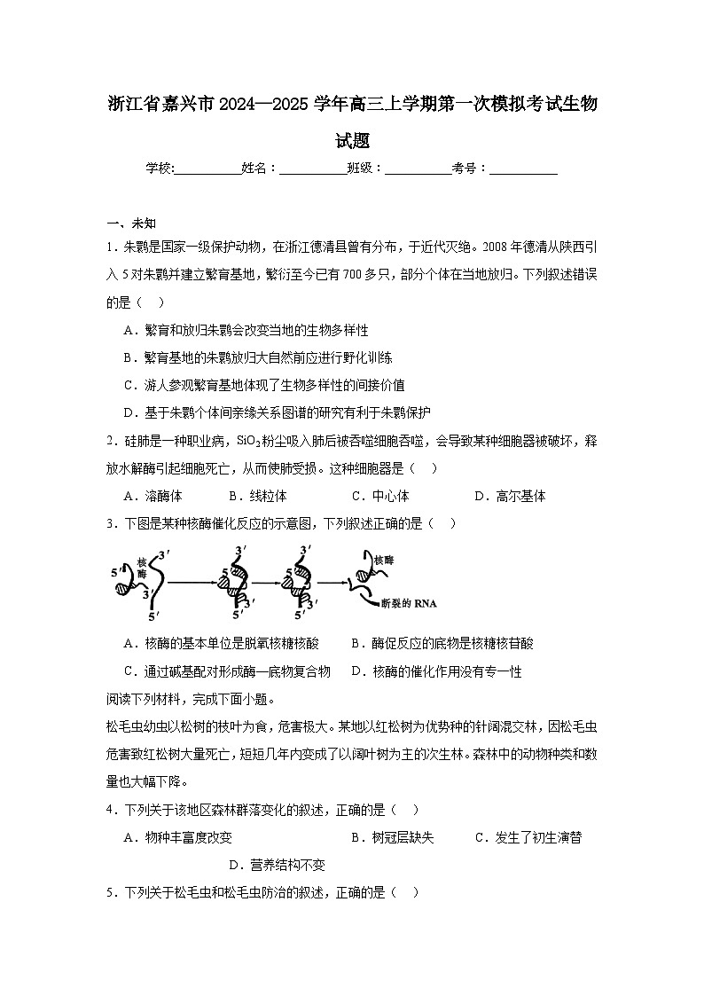 浙江省嘉兴市2024—2025学年高三上学期第一次模拟考试生物试题第1页