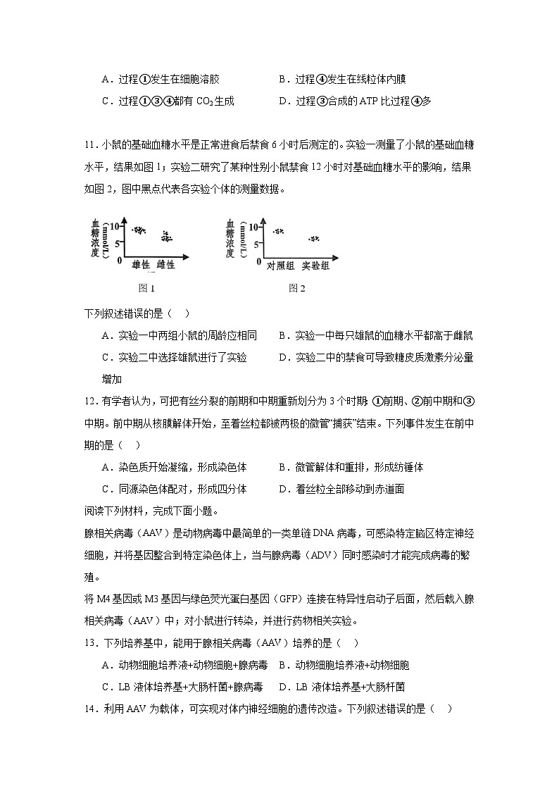 浙江省嘉兴市2024—2025学年高三上学期第一次模拟考试生物试题第3页