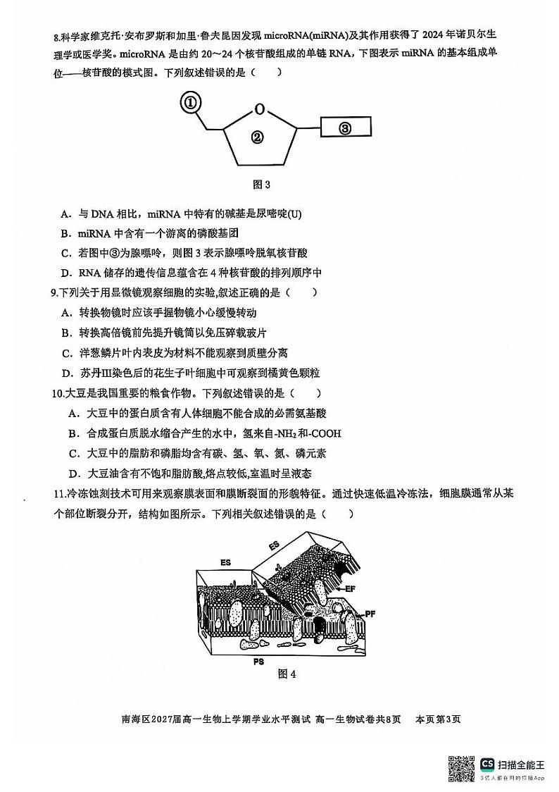 2025佛山南海区高一上学期12月月考试题生物PDF版无答案第3页