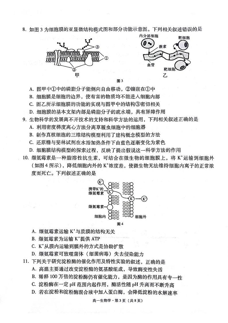 贵阳市2027届高一年级联合考试（二）生物第3页