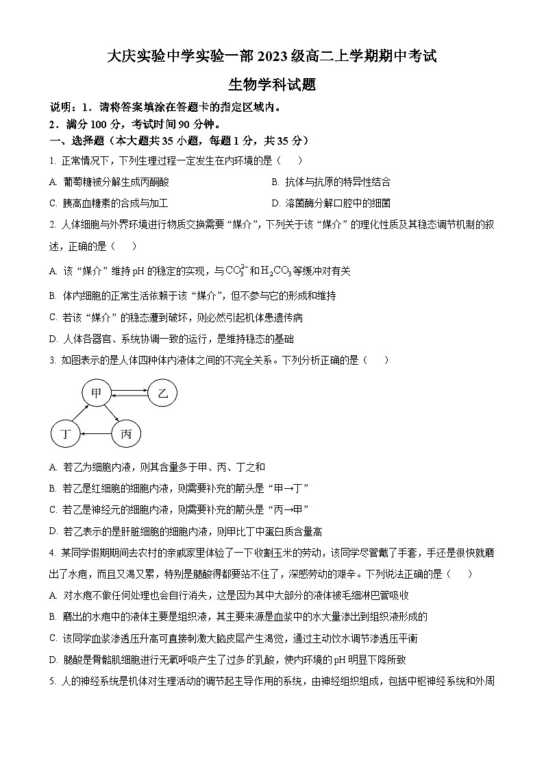 黑龙江省大庆市实验中学实验二部2024-2025学年高二上学期期中考试生物试卷 Word版无答案第1页