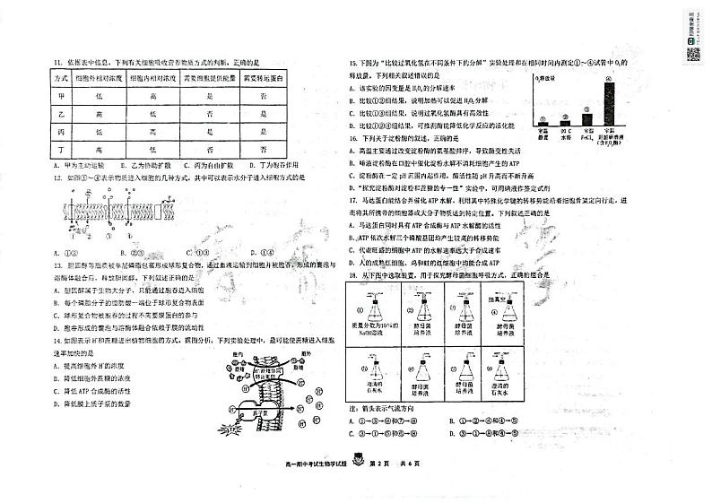 黑龙江省大庆市实验中学实验二部2024-2025学年高一上学期期中考试生物试卷第2页