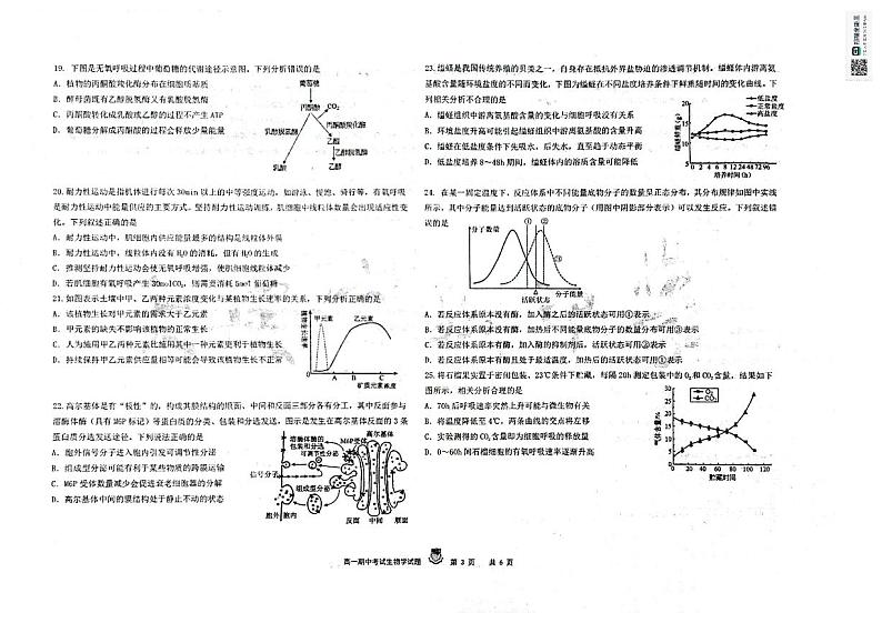 黑龙江省大庆市实验中学实验二部2024-2025学年高一上学期期中考试生物试卷第3页