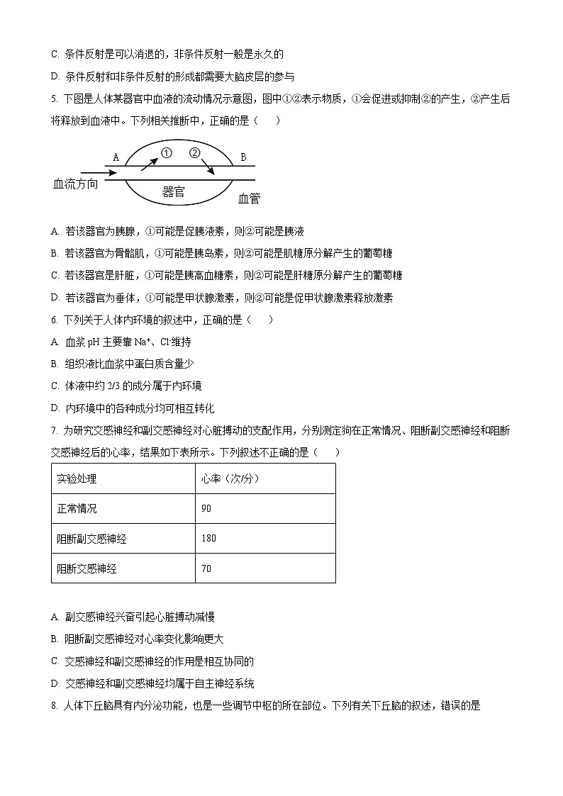 黑龙江省佳木斯市一中2024-2025学年高二上学期10月月考生物试卷 Word版无答案第2页