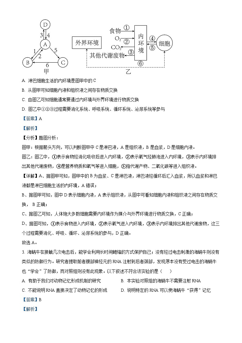黑龙江省佳木斯市一中2024-2025学年高二上学期10月月考生物试卷 Word版含解析第2页