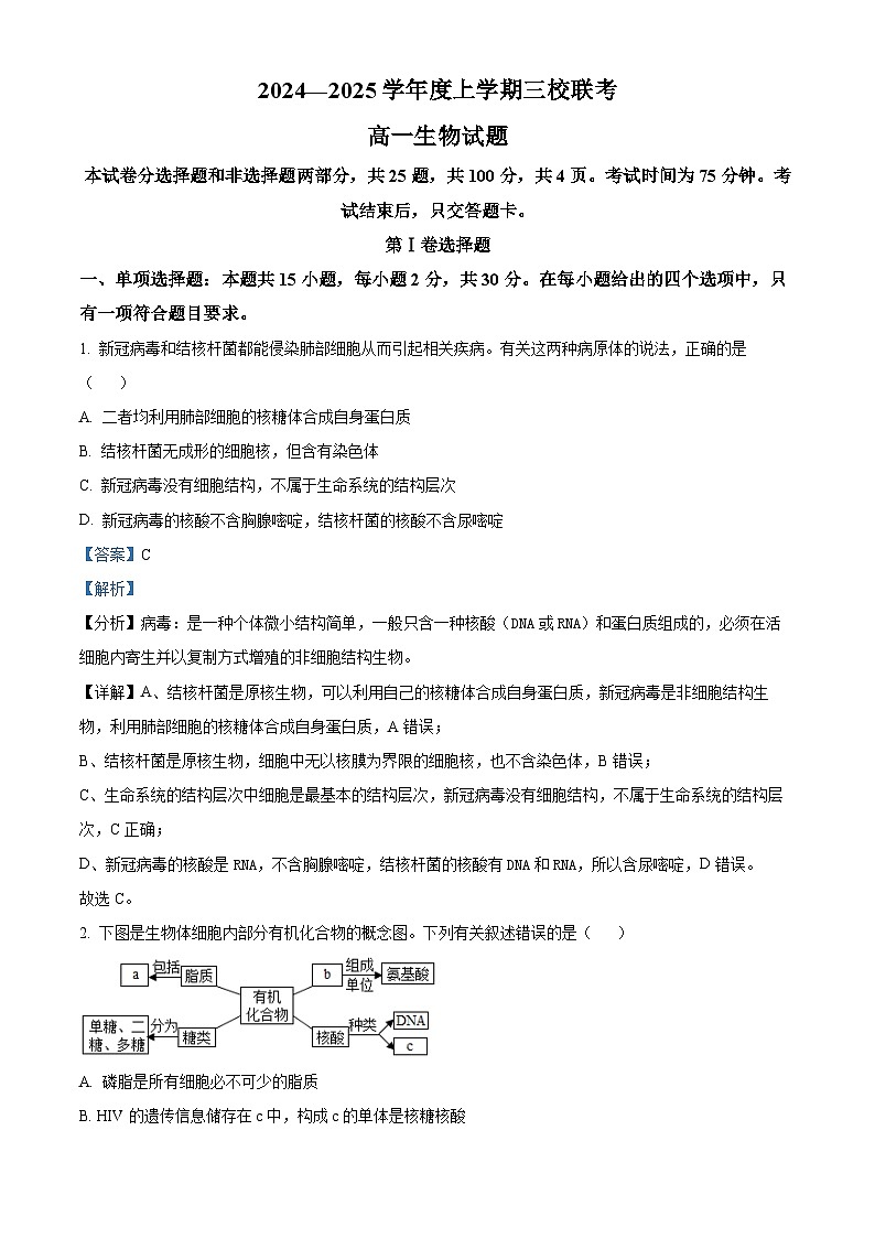 吉林省长春市十一高中等三校2024-2025学年高一上学期第三学程生物试题 Word版含解析第1页