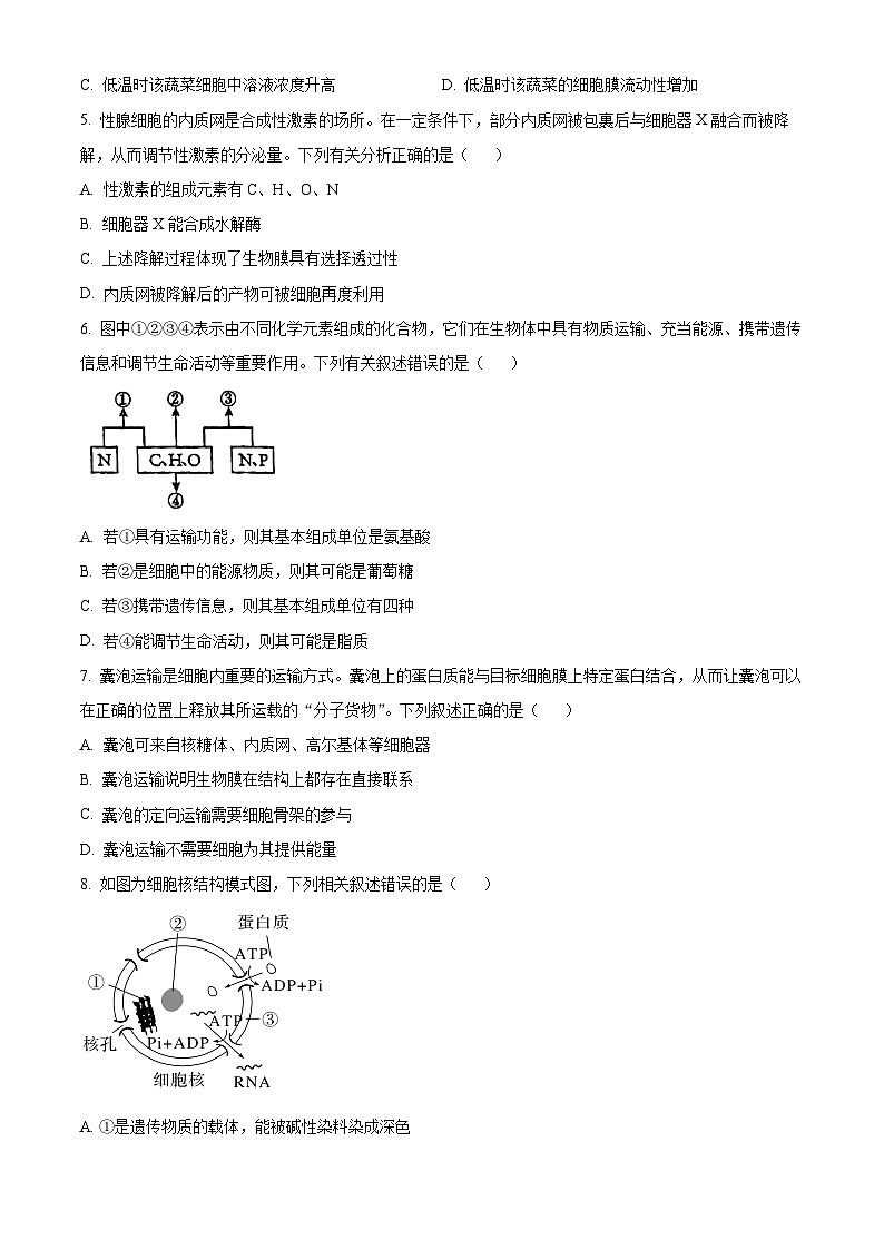 吉林省长春市十一高中等三校2024-2025学年高一上学期第三学程生物试题 Word版无答案第2页