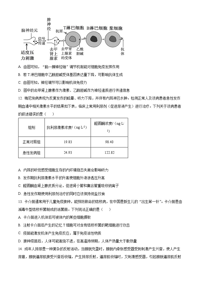 辽宁省实验中学2024-2025学年高二上学期期中考试生物试题 Word版无答案第3页