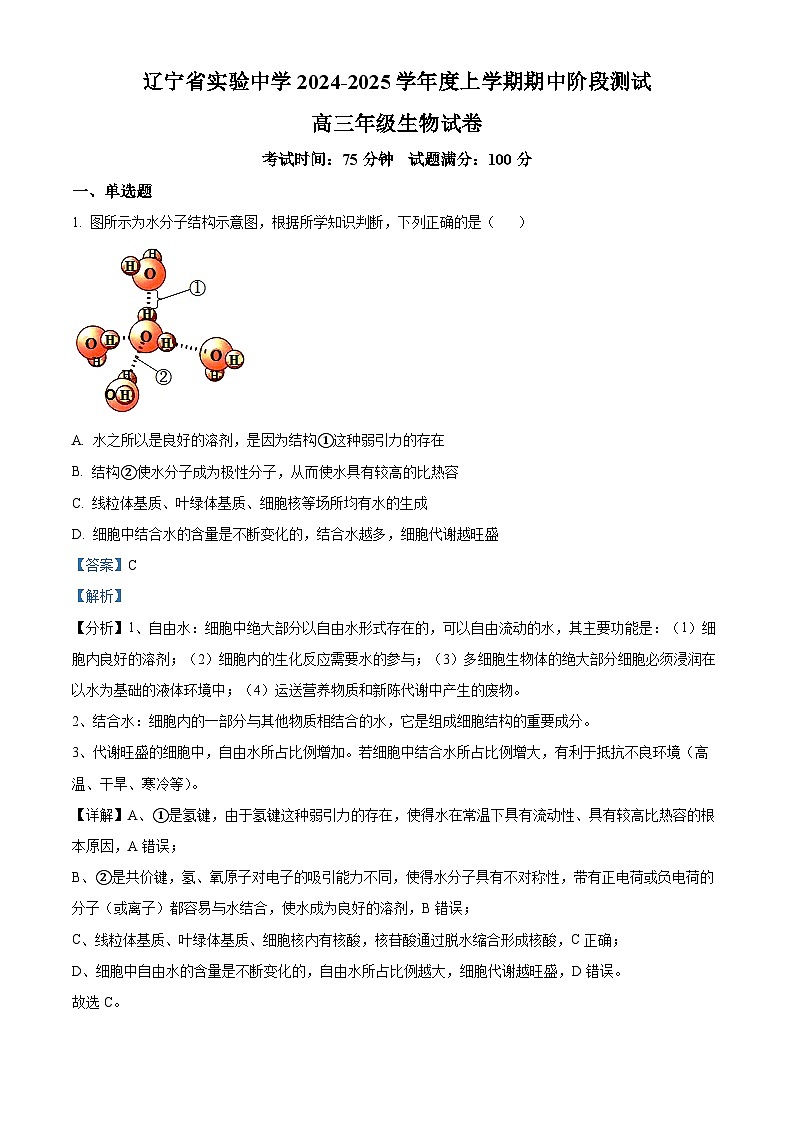 辽宁省实验中学2024-2025学年高三上学期期中考试生物试题 Word版含解析第1页