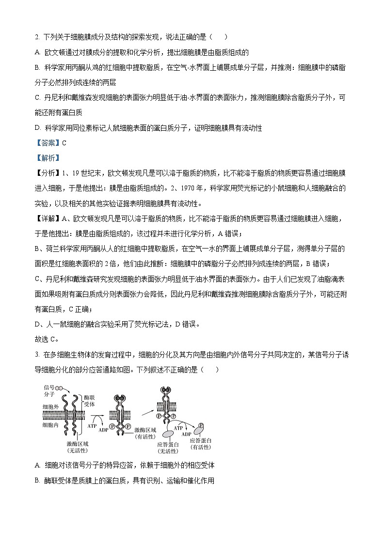 辽宁省实验中学2024-2025学年高三上学期期中考试生物试题 Word版含解析第2页